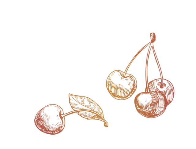 Illustration of cherries