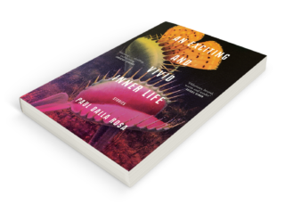 Paul Dalla Rosa's story collection, An Exciting and Vivid Inner Life