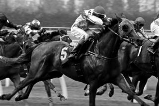 Photograph of a horse race. The frame is tight on four or five riders. The image is highly detailed and sweat is visible on the center horse's neck. The horse's muscles are also visibly strained.