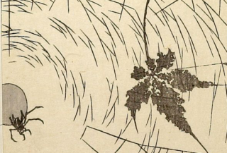 print of a spider in a web with a leaf
